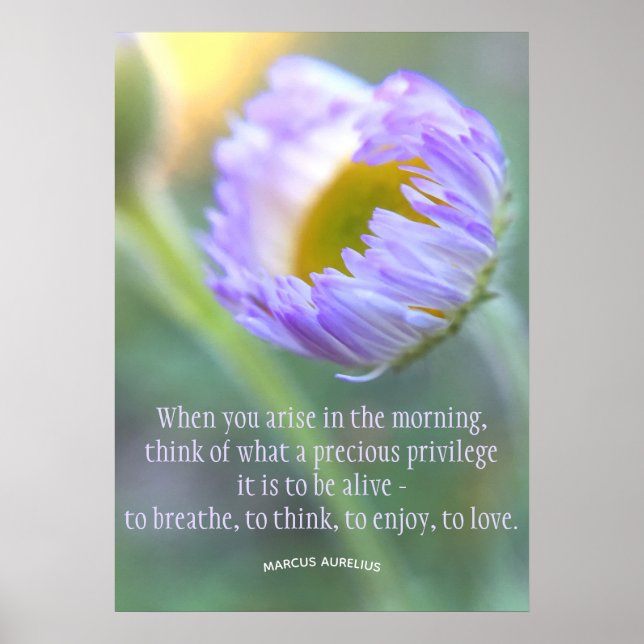Daily Gratitude Inspirational Quote Floral Poster (Front)