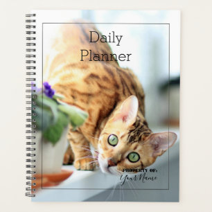Daily Planner - Cat - HAMbWG