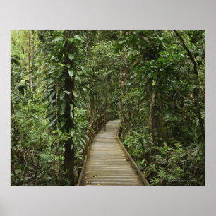 Daintree National Park (UNESCO World Heritage 2 Poster