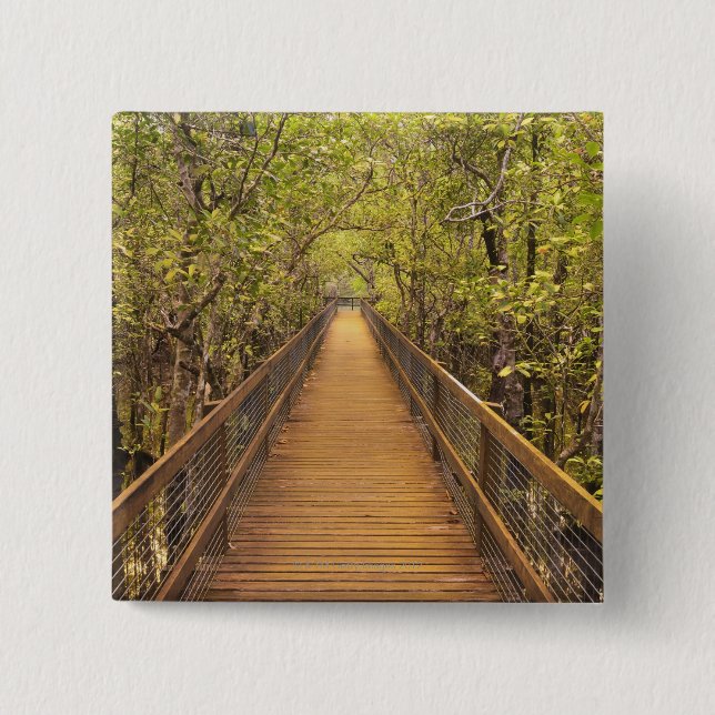 Daintree National Park (UNESCO World Heritage Button (Front)