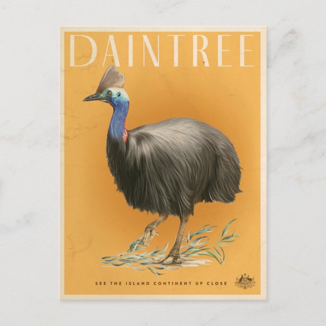 Daintree Rainforest Cassowary Postcard (Front)