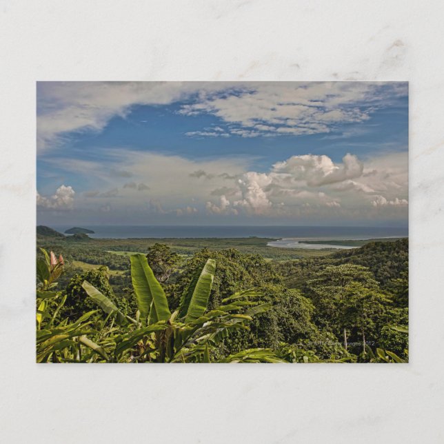 Daintree River in the tropical rainforest of Postcard (Front)