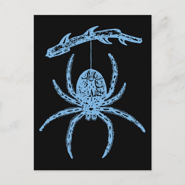 Dainty Blue Spider Postcard (Front)