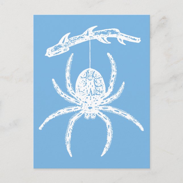 Dainty Blue Spider Postcard (Front)