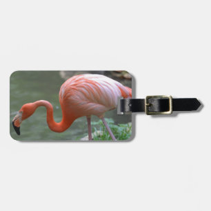 Dainty Flamingo Luggage Tag