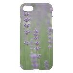 Dainty Lavender Clear iPhone SE/8/7 Case