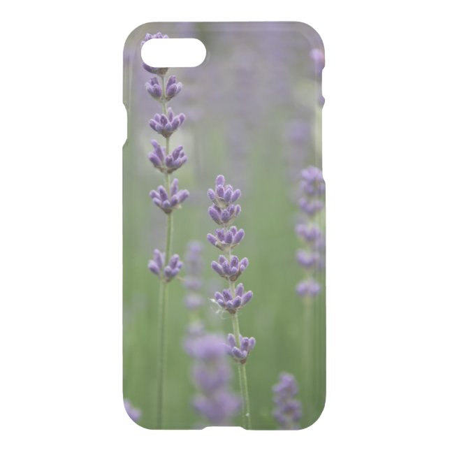 Dainty Lavender Clear Uncommon iPhone Case (Back)