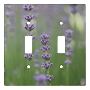 Dainty Lavender Light Switch Cover