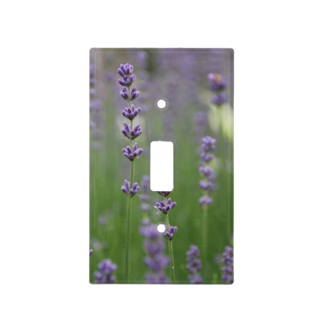 Dainty Lavender Light Switch Cover (Front)