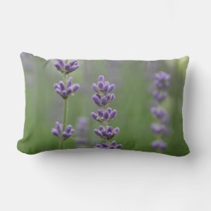 Dainty Lavender Lumbar Pillow
