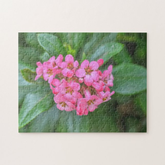 Dainty Pink Flowers Garden Floral Puzzle (Horizontal)