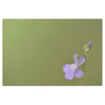 Dainty Purple Flower