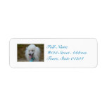 Dainty White Poodle Label