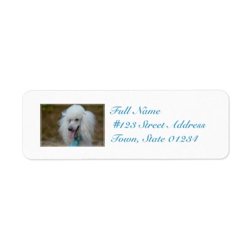 Dainty White Poodle Label