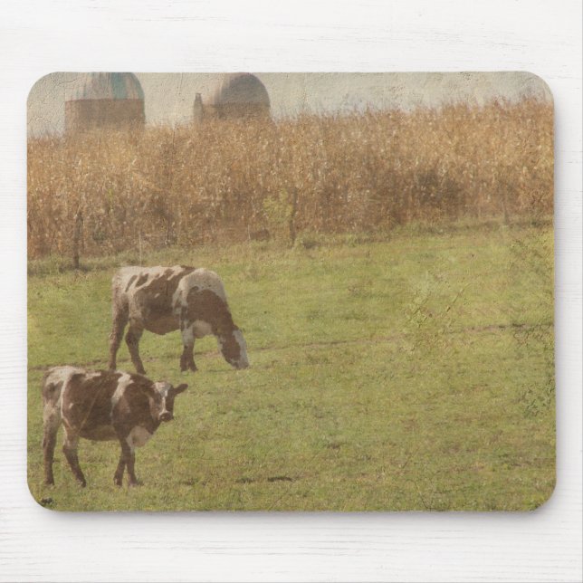 dairy cattle at pasture mouse pad (Front)