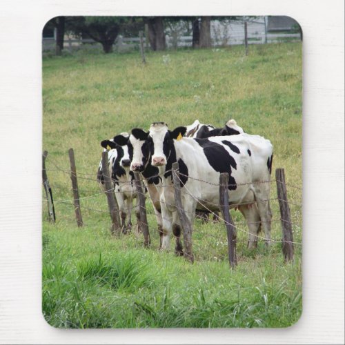 Dairy Cattle Mouse Pad