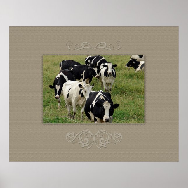 Dairy Cattle Poster (Front)