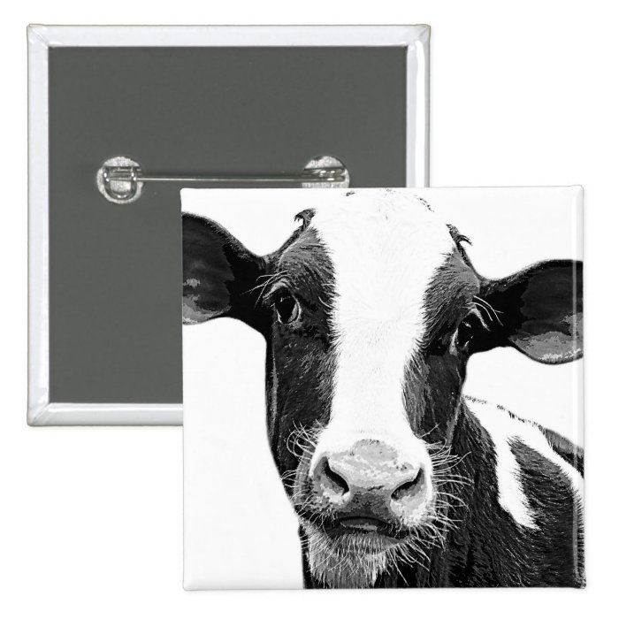 Dairy Cow   Black and White Dairy Calf Pinback Button