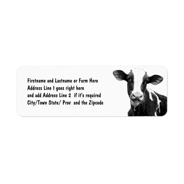 Dairy Cow - Black and White Dairy Calf Label (Front)