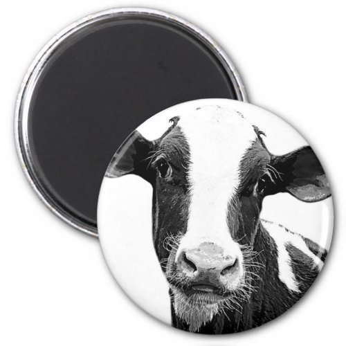 Dairy Cow _ Black and White Dairy Calf Magnet