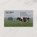 Dairy Cow Business Card at Zazzle
