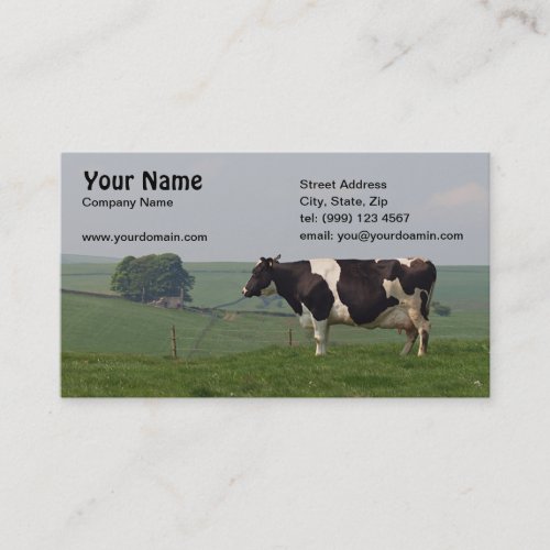 Dairy Cow Business card
