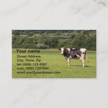 Dairy Cow Business Card by sponner at Zazzle