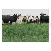 Dairy Cow Card (Front Horizontal)