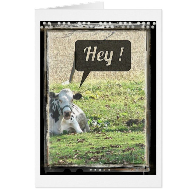 Dairy Cow Hey! Cards (Front)