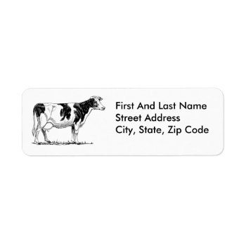 Dairy Cow Holstein Fresian Pencil Drawing Label by CorgisandThings at Zazzle
