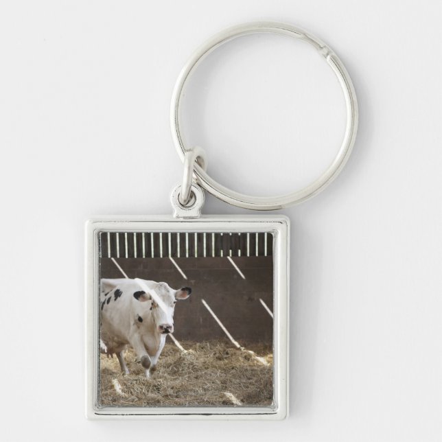 Dairy cow keychain (Front)