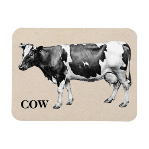 Dairy Cow Magnet