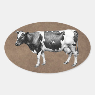 Dairy Cow Oval Sticker