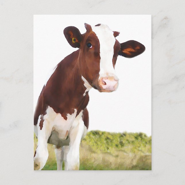 Dairy Cow -  Painted Brown & White Holstein Postcard (Front)