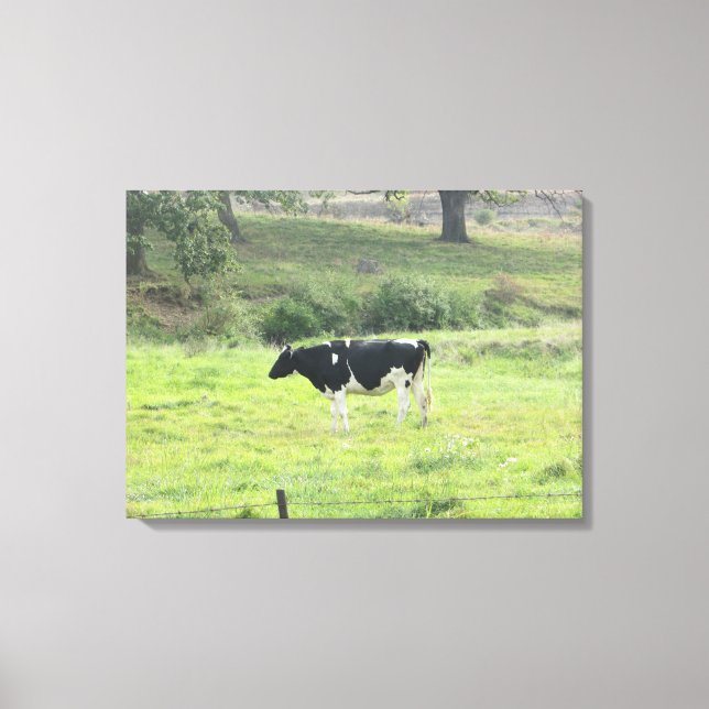 Dairy Cow Photo Wall Canvas Art (Front)