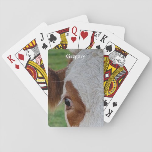dairy cow red white meadow farmland photo cattle poker cards