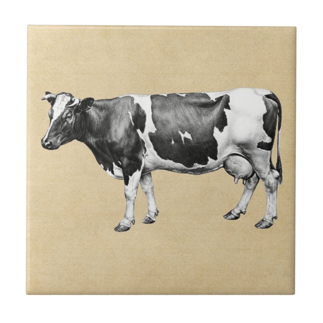 Dairy Cow Sepia Ceramic Tile (Front)