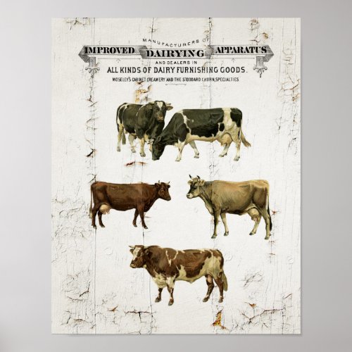 Dairy Cow Vintage Style Old Rustic Cows Poster