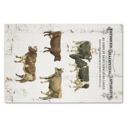 Dairy Cow Vintage Style Old Rustic Cows Tissue Paper