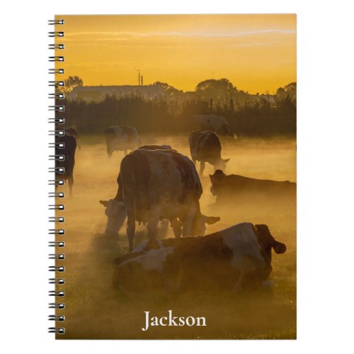 Dairy cows pasture cattle farming farm grass photo notebook