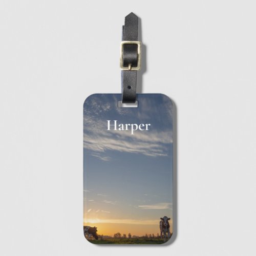 Dairy cows young cattle meadow sunrise photo luggage tag