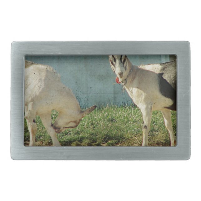 Dairy Goats Belt Buckle (Front)