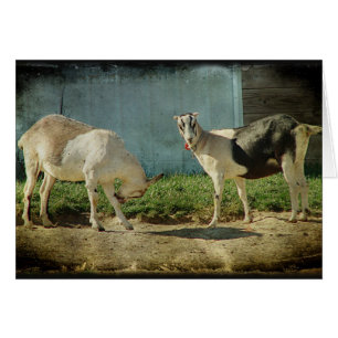 Dairy Goats Cards