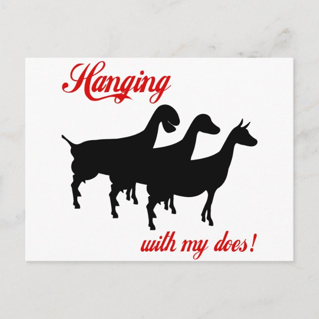 Dairy Goats Postcard (Front)