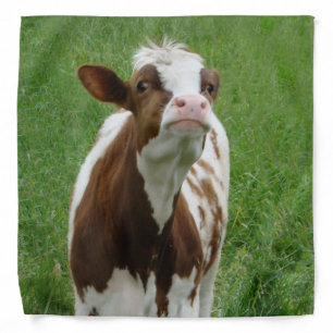 Dairy Milk Cow on the Farm Bandana