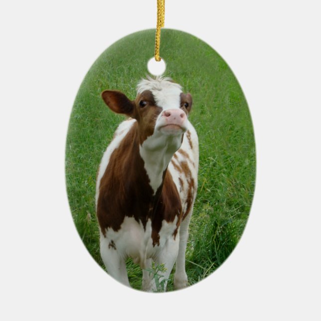 Dairy Milk Cow on the Farm Ceramic Ornament (Front)