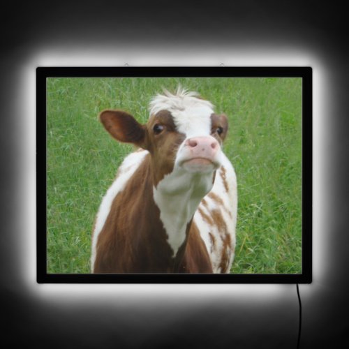 Dairy Milk Cow on the Farm LED Sign