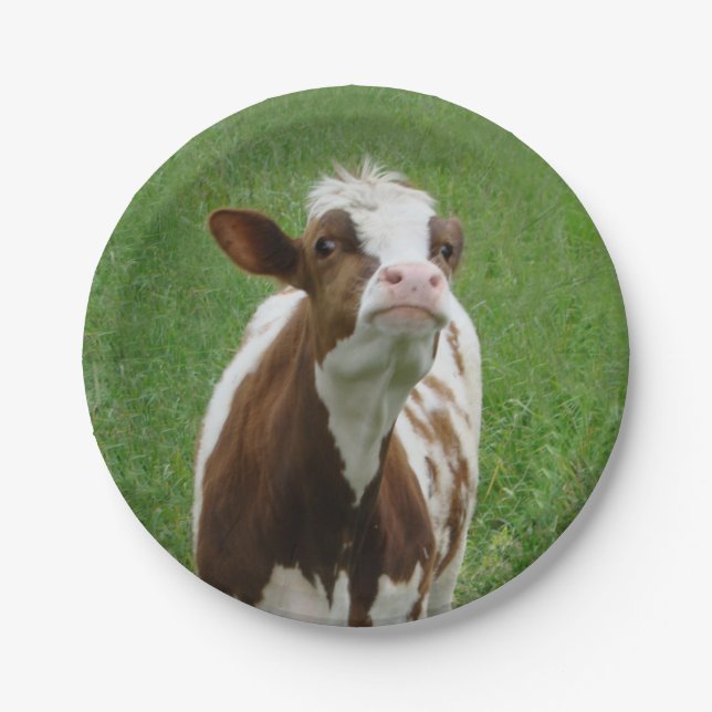 Dairy Milk Cow on the Farm Paper Plates (Front)
