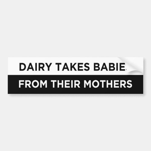 dairy takes babies from their mothers vegan bumper sticker