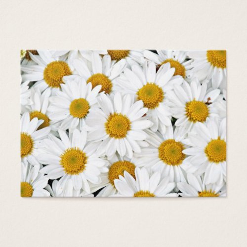 Daisies Business Card Template